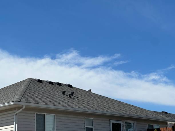 Best 4 Ply Roofing  in Dallas, OR